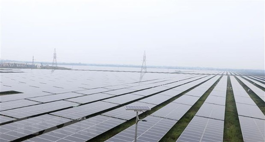 Vietnam leads transition to clean energy in Southeast Asia