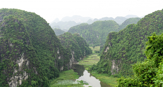 Việt Nam sẵn sàng trở thành thị trường tín chỉ carbon quy mô lớn